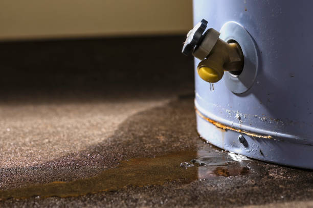 Best Residential water damage restoration  in Fisher, IL