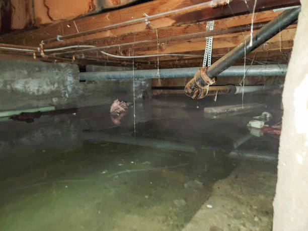Best Emergency water damage restoration  in Fisher, IL