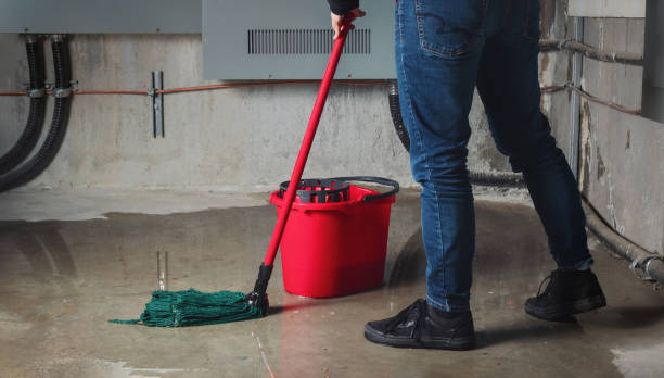 Best Sewage cleanup and water damage restoration  in Fisher, IL