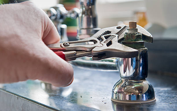 Best Water damage cleanup near me  in Fisher, IL