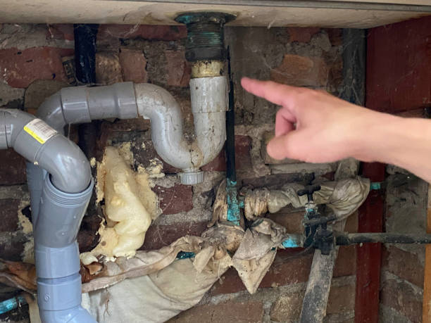 Best Flooded house restoration  in Fisher, IL
