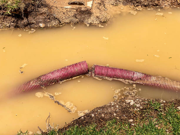  Fisher, IL Water damage restoration Pros